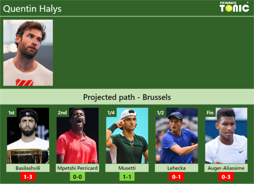 Quentin Halys Stats info