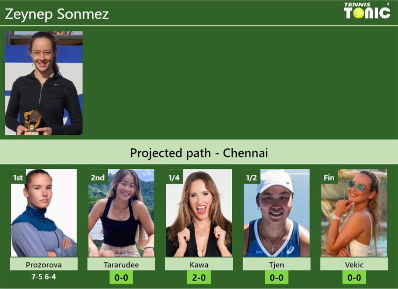 Zeynep Sonmez Stats info