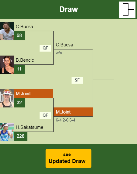 Maya Joint Draw info