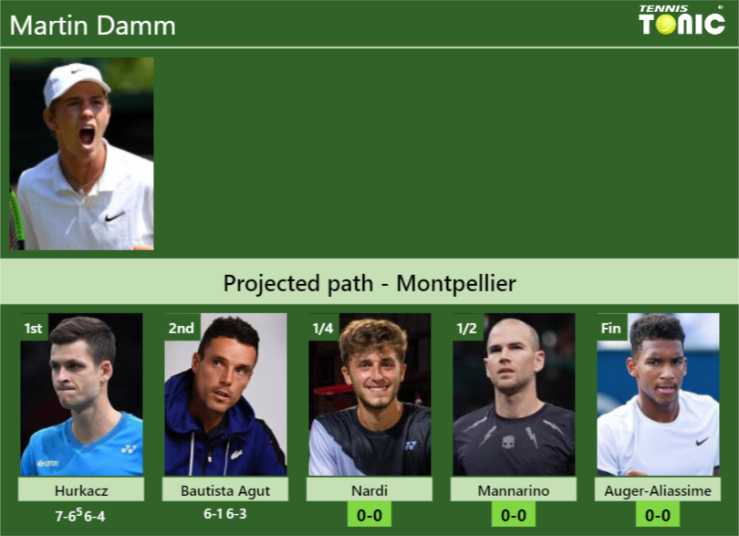 Martin Damm Stats info