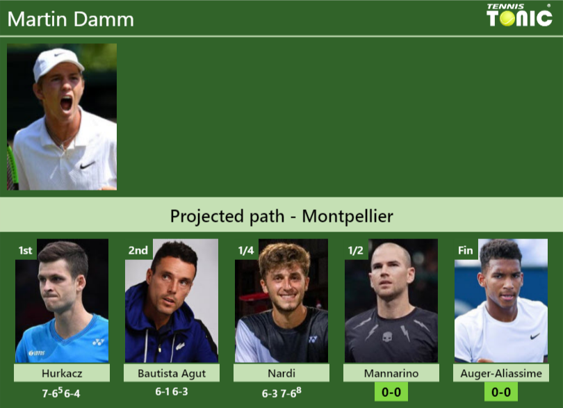 Martin Damm Stats info
