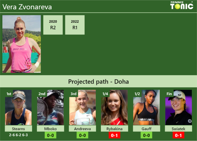 Vera Zvonareva Stats info