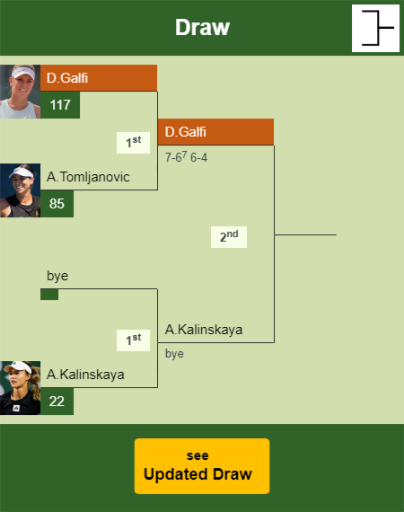 Dalma Galfi Draw info