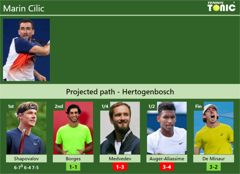 Marin Cilic Stats info