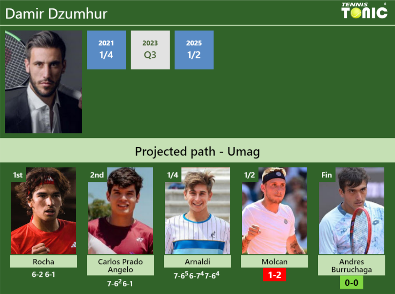 Damir Dzumhur Stats info