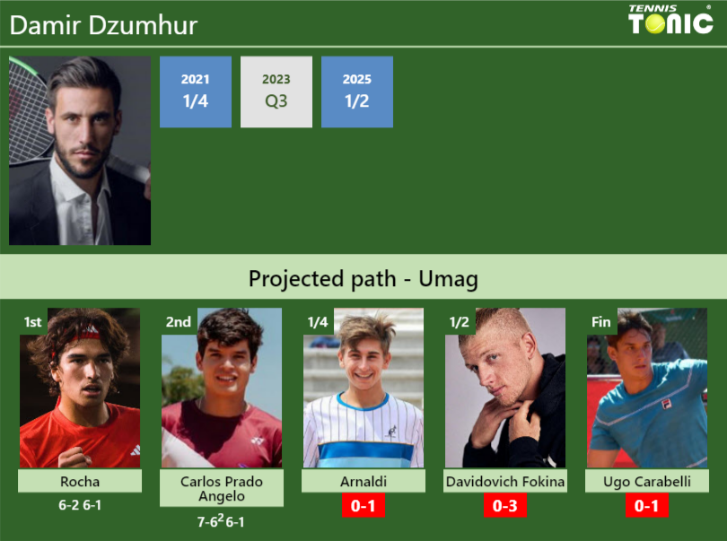 Damir Dzumhur Stats info