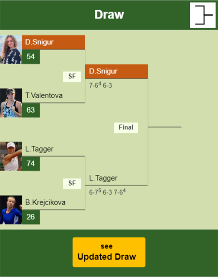Daria Snigur Draw info