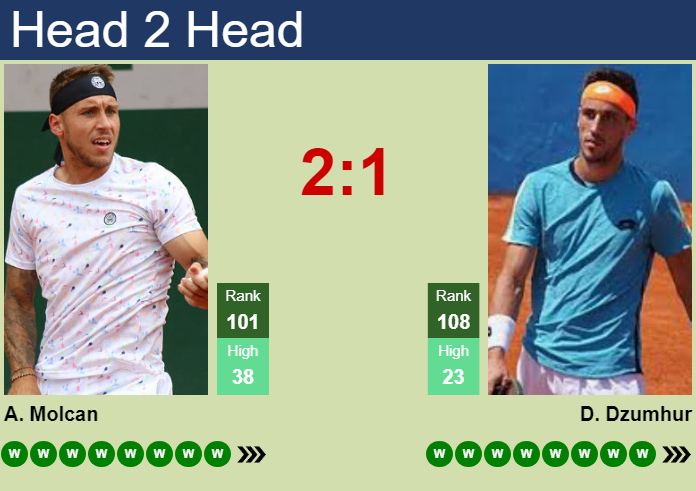 H2H, prediction of Alex Molcan vs Damir Dzumhur in Umag with odds, preview, pick | 17th July 2026 Prediction and head to head Alex Molcan vs. Damir Dzumhur