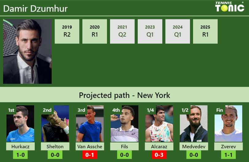 Damir Dzumhur Stats info