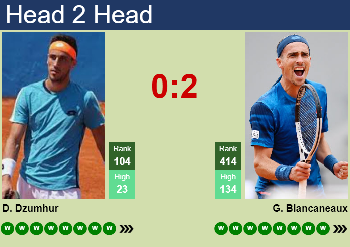 Prediction and head to head Damir Dzumhur vs. Geoffrey Blancaneaux