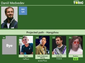 Daniil Medvedev Stats info