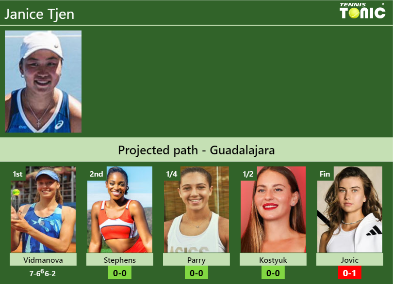 Janice Tjen Stats info