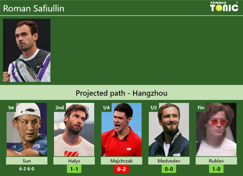 Roman Safiullin Stats info