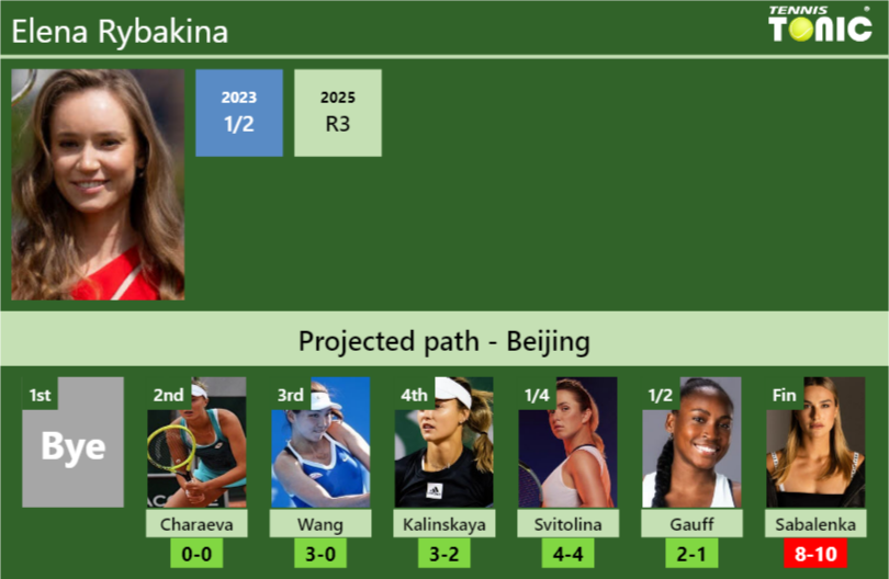 Elena Rybakina Stats info