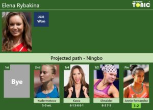 Elena Rybakina Stats info
