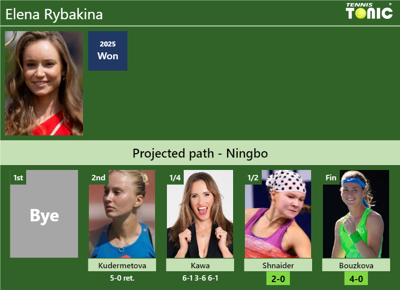 Elena Rybakina Stats info