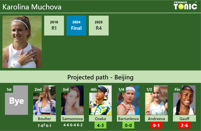 Karolina Muchova Stats info