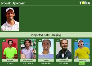 Novak Djokovic Stats info