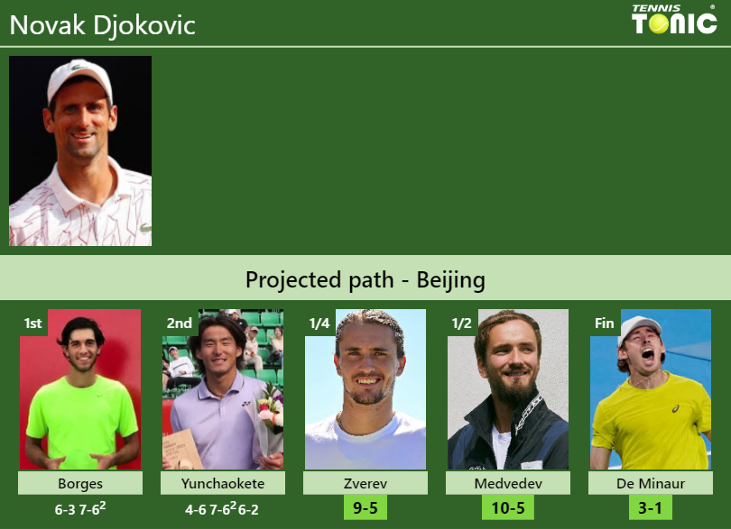 Novak Djokovic Stats info