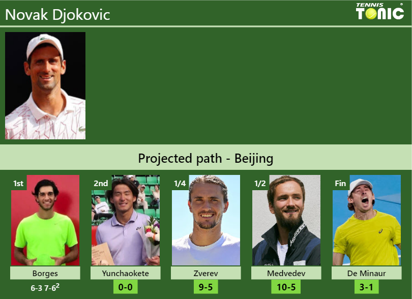 Novak Djokovic Stats info