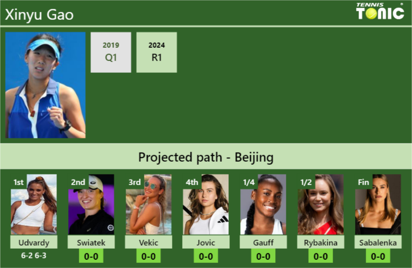 Xinyu Gao Stats info